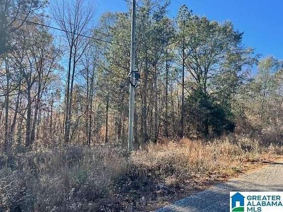 6 Acres of Land for Sale in Talladega, Alabama