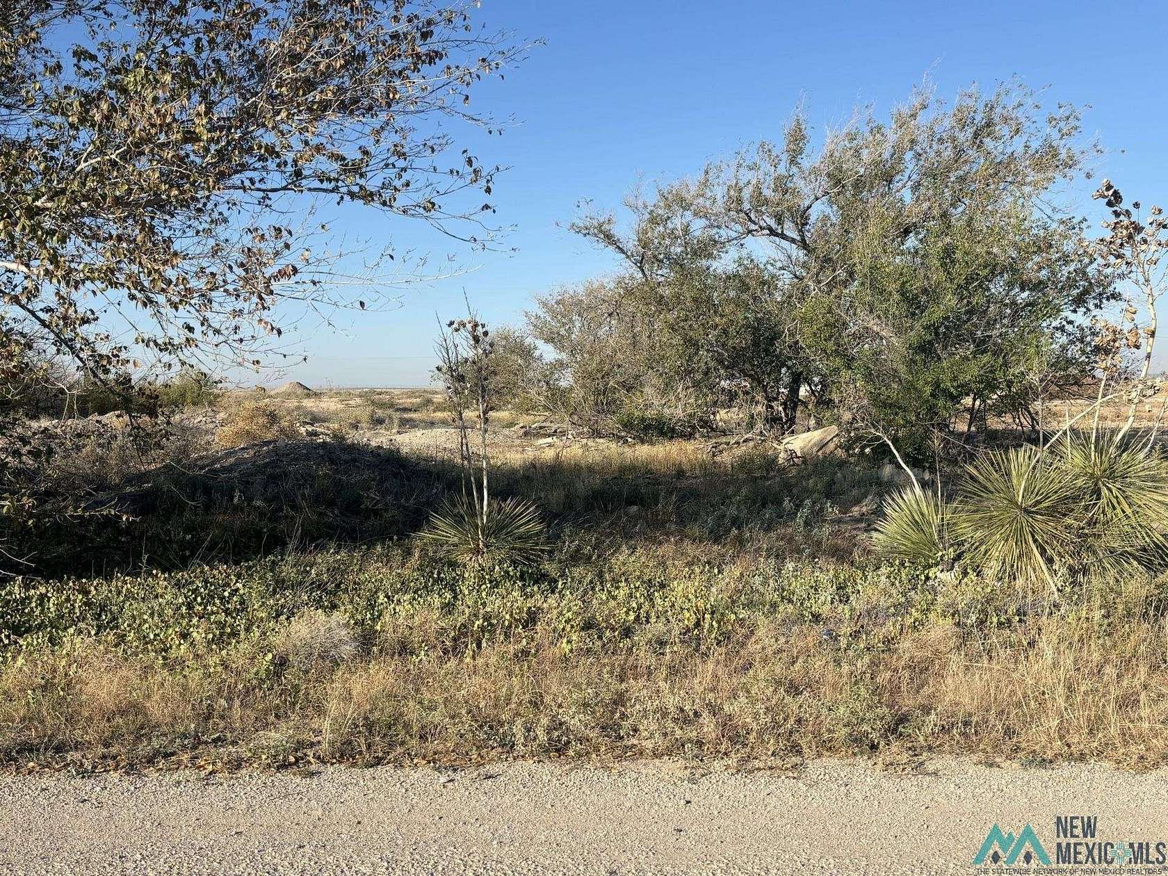 0.73 Acres of Land for Sale in Artesia, New Mexico