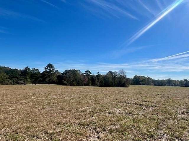 15.21 Acres of Land for Sale in Tylertown, Mississippi