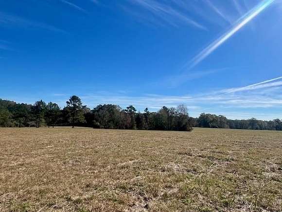 15.21 Acres of Land for Sale in Tylertown, Mississippi