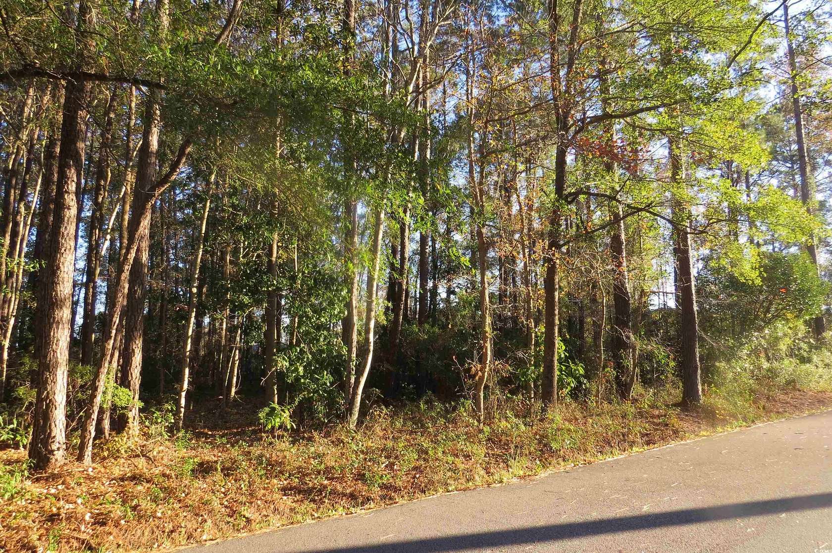 0.32 Acres of Residential Land for Sale in Conway, South Carolina