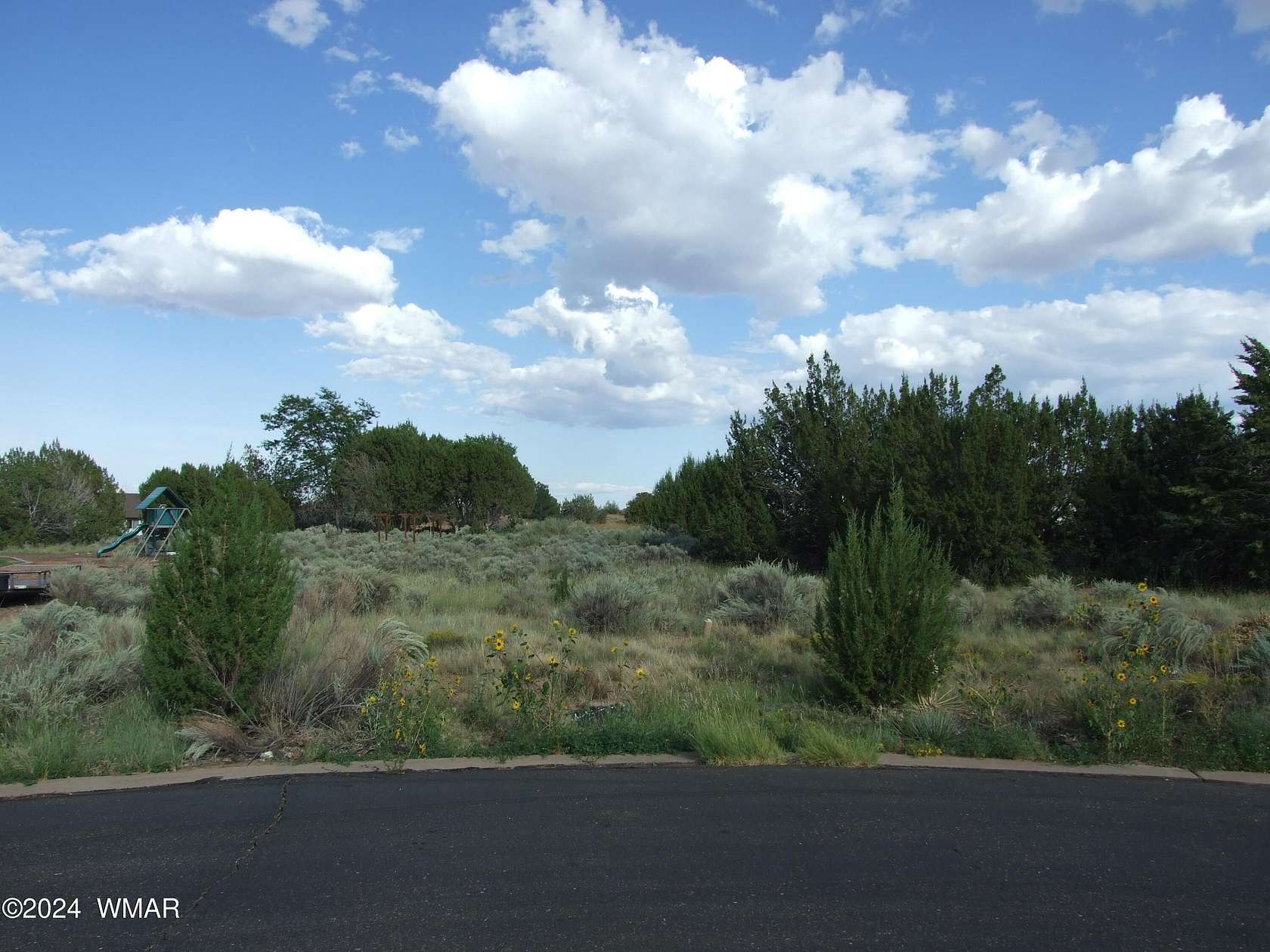 0.38 Acres of Residential Land for Sale in Snowflake, Arizona