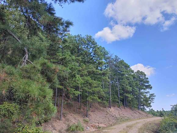 155 Acres of Land for Sale in Watson, Oklahoma