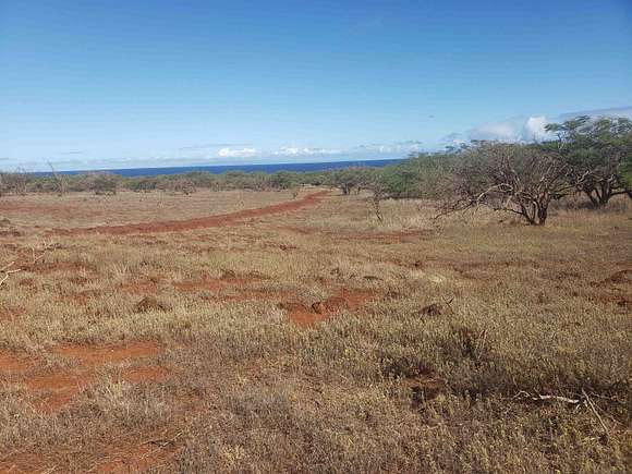 21.115 Acres of Recreational Land for Sale in Maunaloa, Hawaii