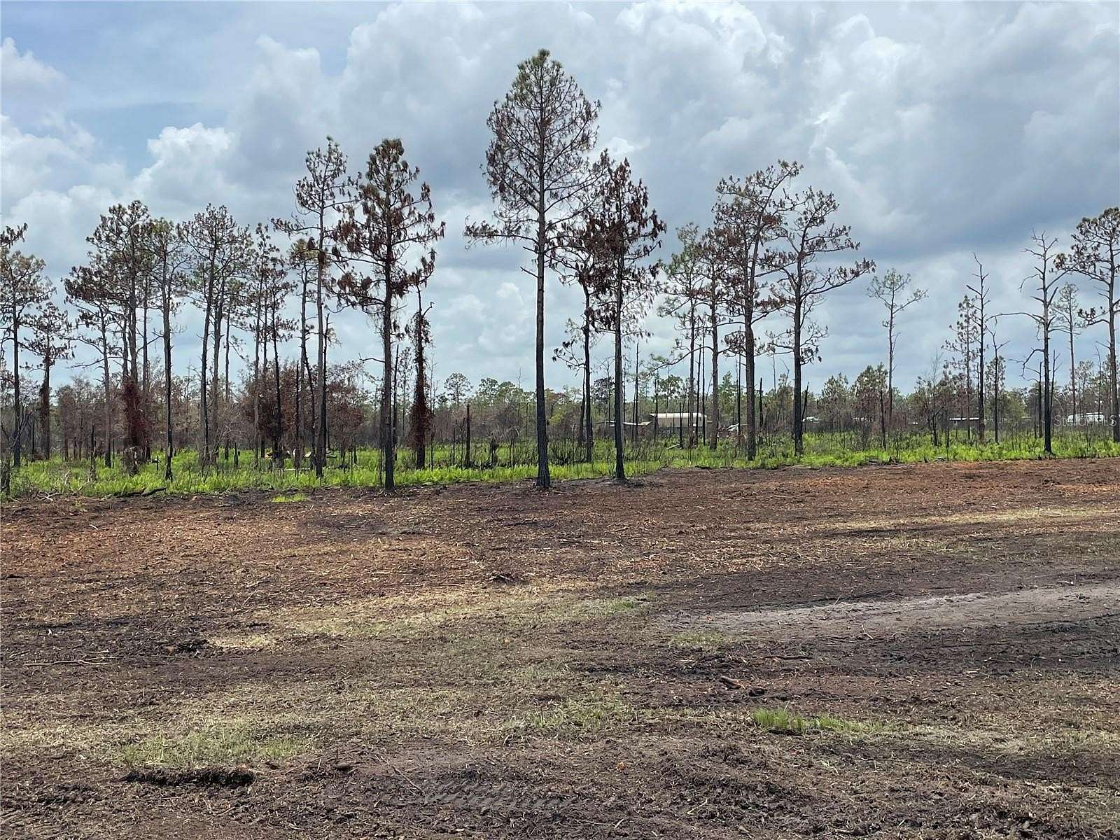 5 Acres of Land for Sale in Frostproof, Florida