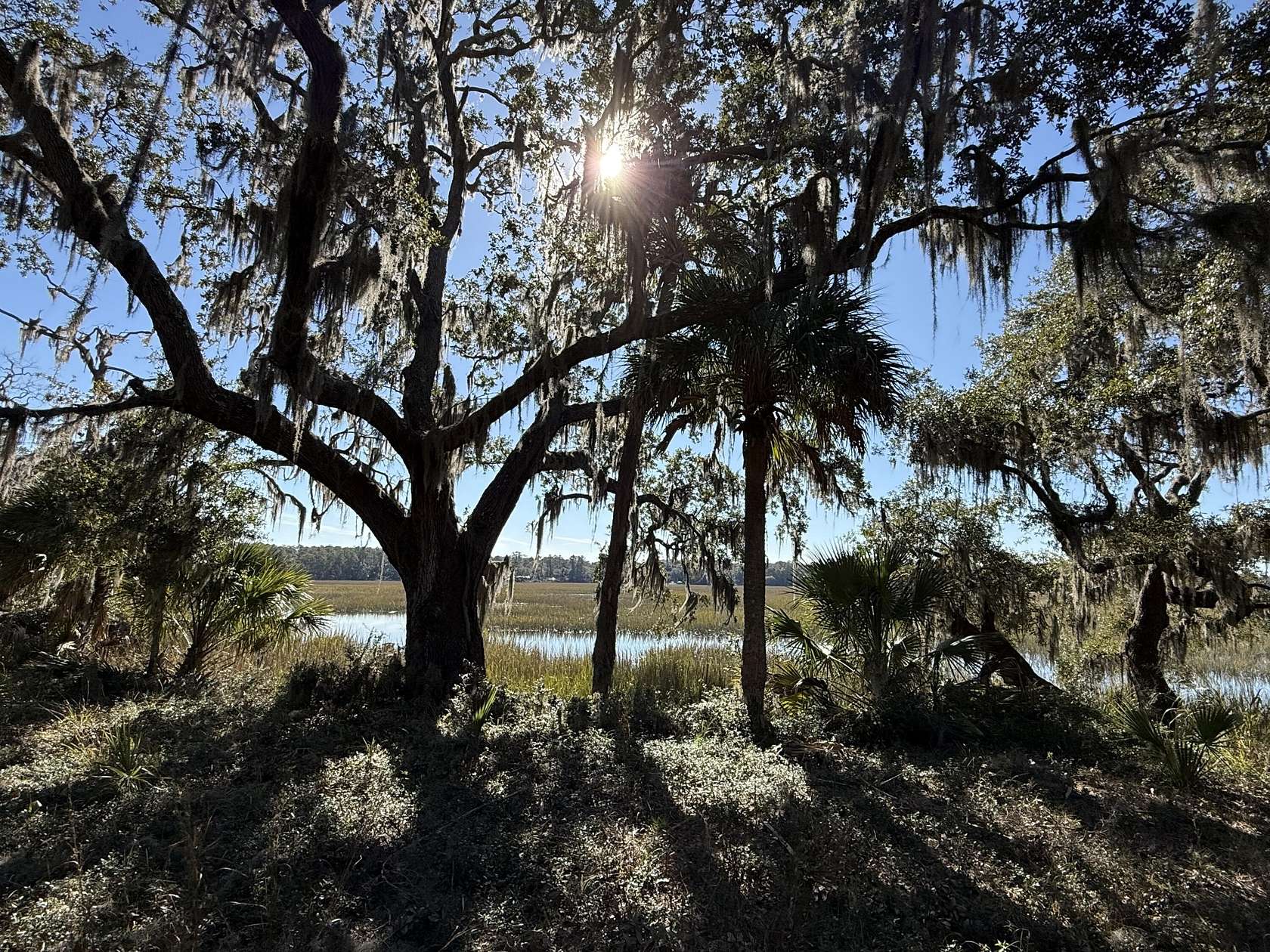 5 Acres of Residential Land for Sale in Edisto Island, South Carolina