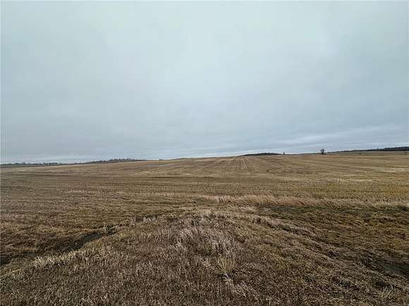 70 Acres of Agricultural Land for Sale in Lake Johanna Township, Minnesota