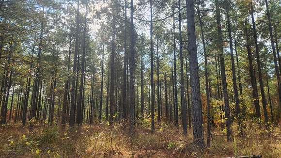 0.3 Acres of Residential Land for Sale in Hot Springs, Arkansas