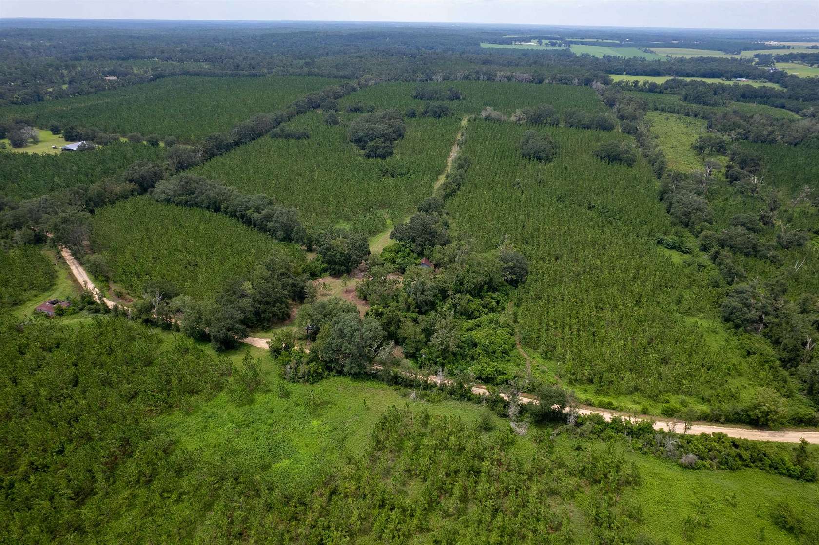 86.41 Acres of Land for Sale in Madison, Florida