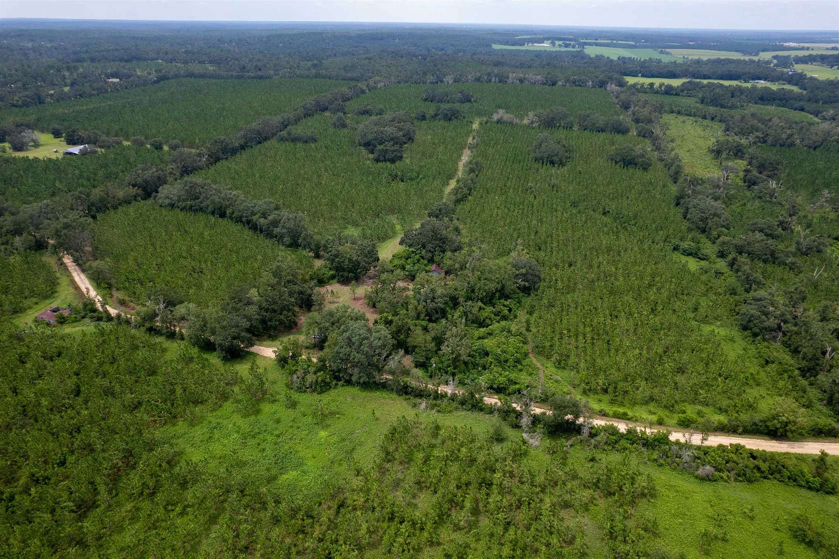 86.4 Acres of Land for Sale in Madison, Florida