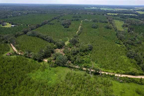 86.41 Acres of Land for Sale in Madison, Florida