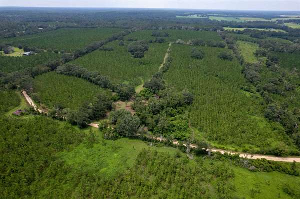 86.4 Acres of Land for Sale in Madison, Florida