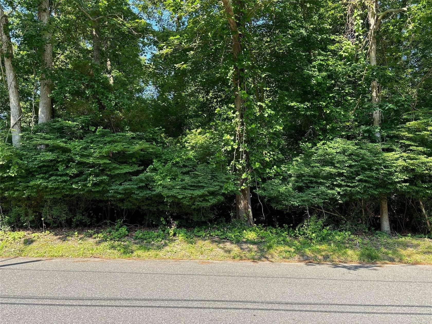 1.08 Acres of Land for Sale in Brookhaven, New York