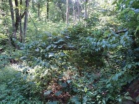 4.12 Acres of Residential Land for Sale in Ossining, New York