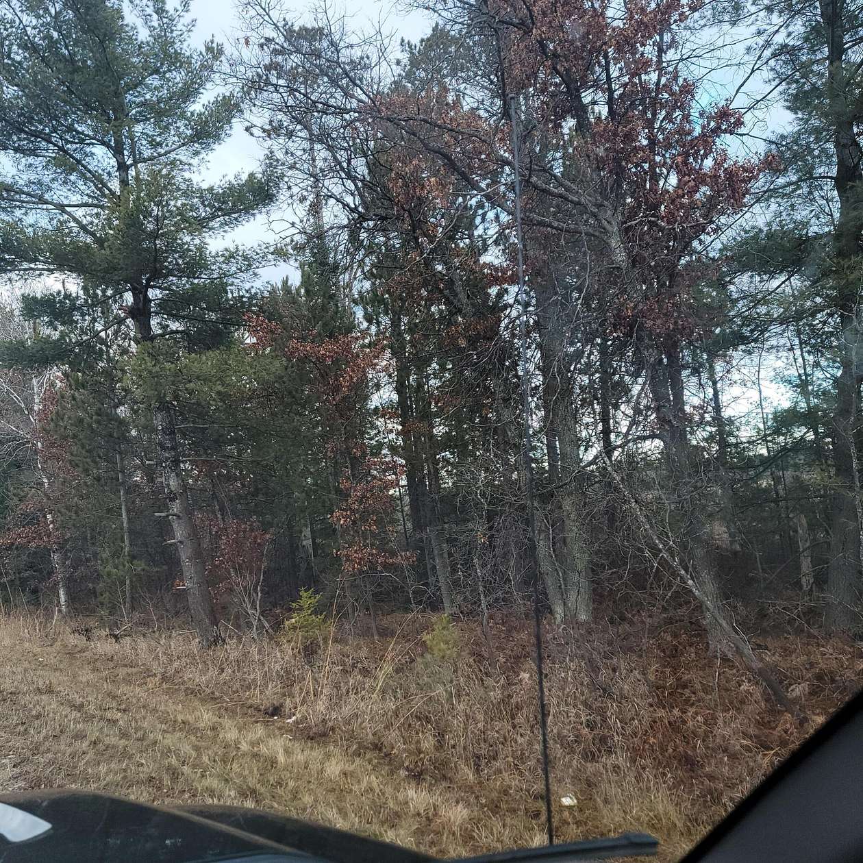 4 Acres of Land for Sale in St. Helen, Michigan