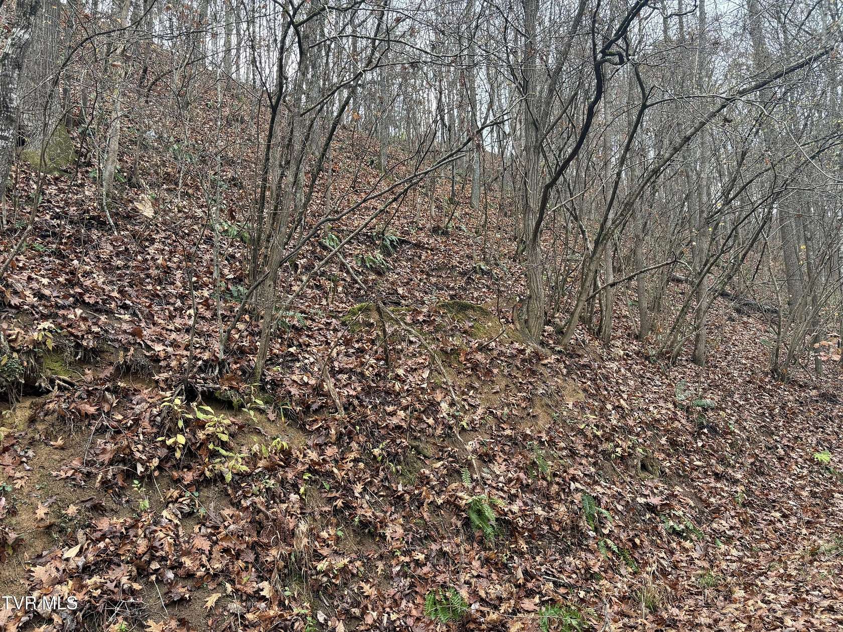 18 Acres of Land for Sale in Bluff City, Tennessee