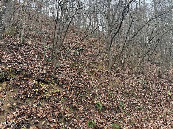 18 Acres of Land for Sale in Bluff City, Tennessee