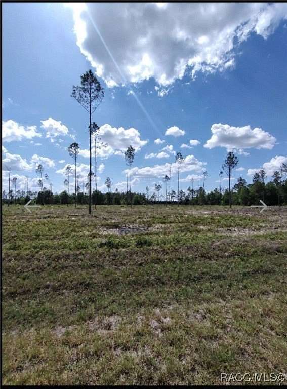 4.79 Acres of Residential Land for Sale in Live Oak, Florida