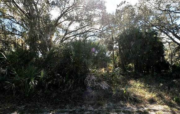 0.46 Acres of Land for Sale in North Port, Florida