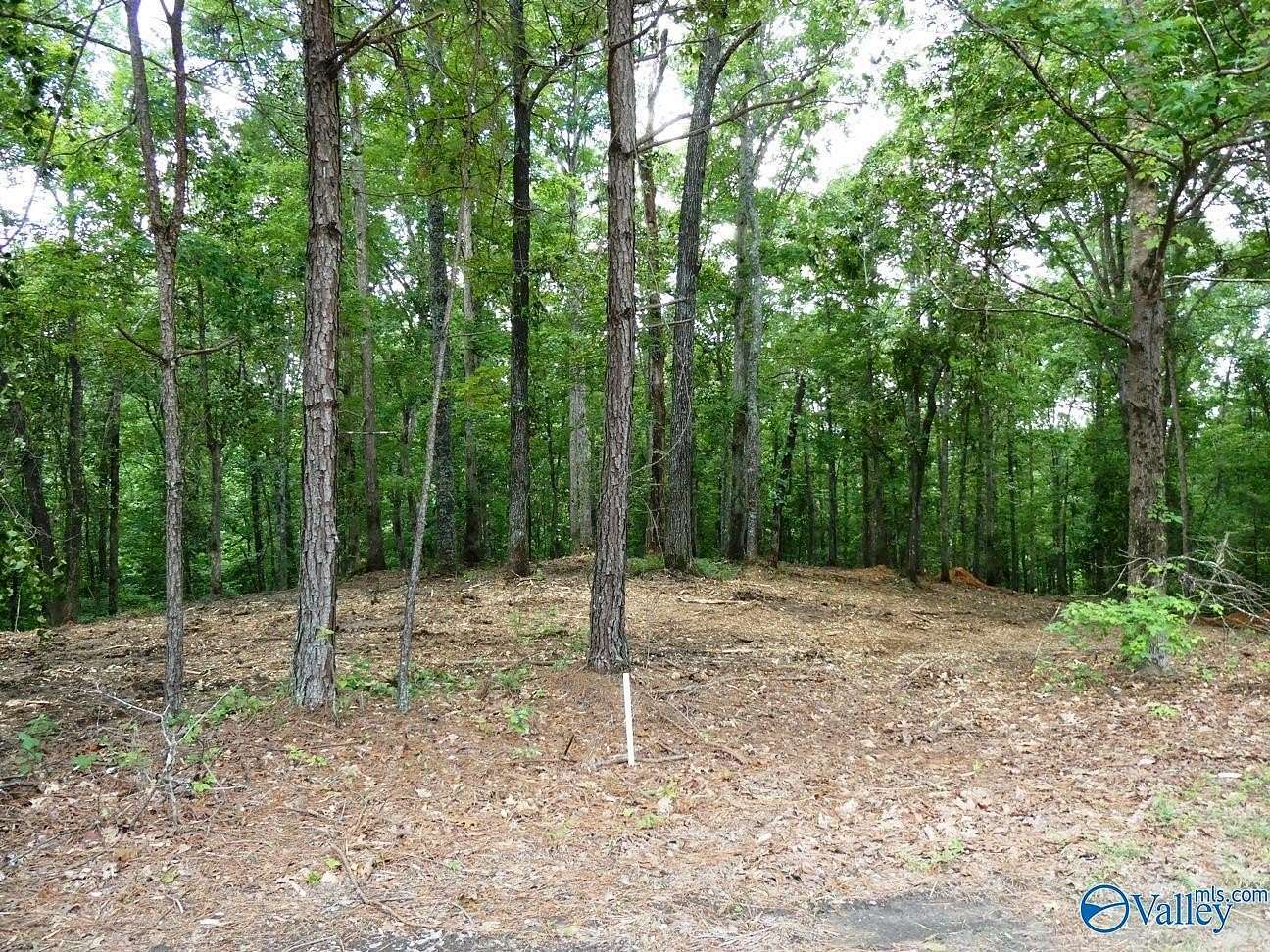 2.5 Acres of Residential Land for Sale in Jasper, Alabama