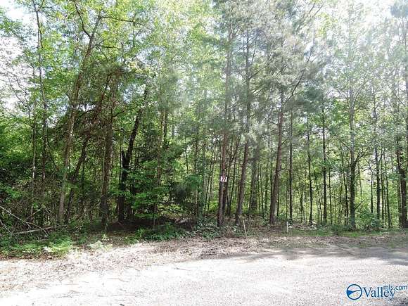 2.5 Acres of Residential Land for Sale in Jasper, Alabama