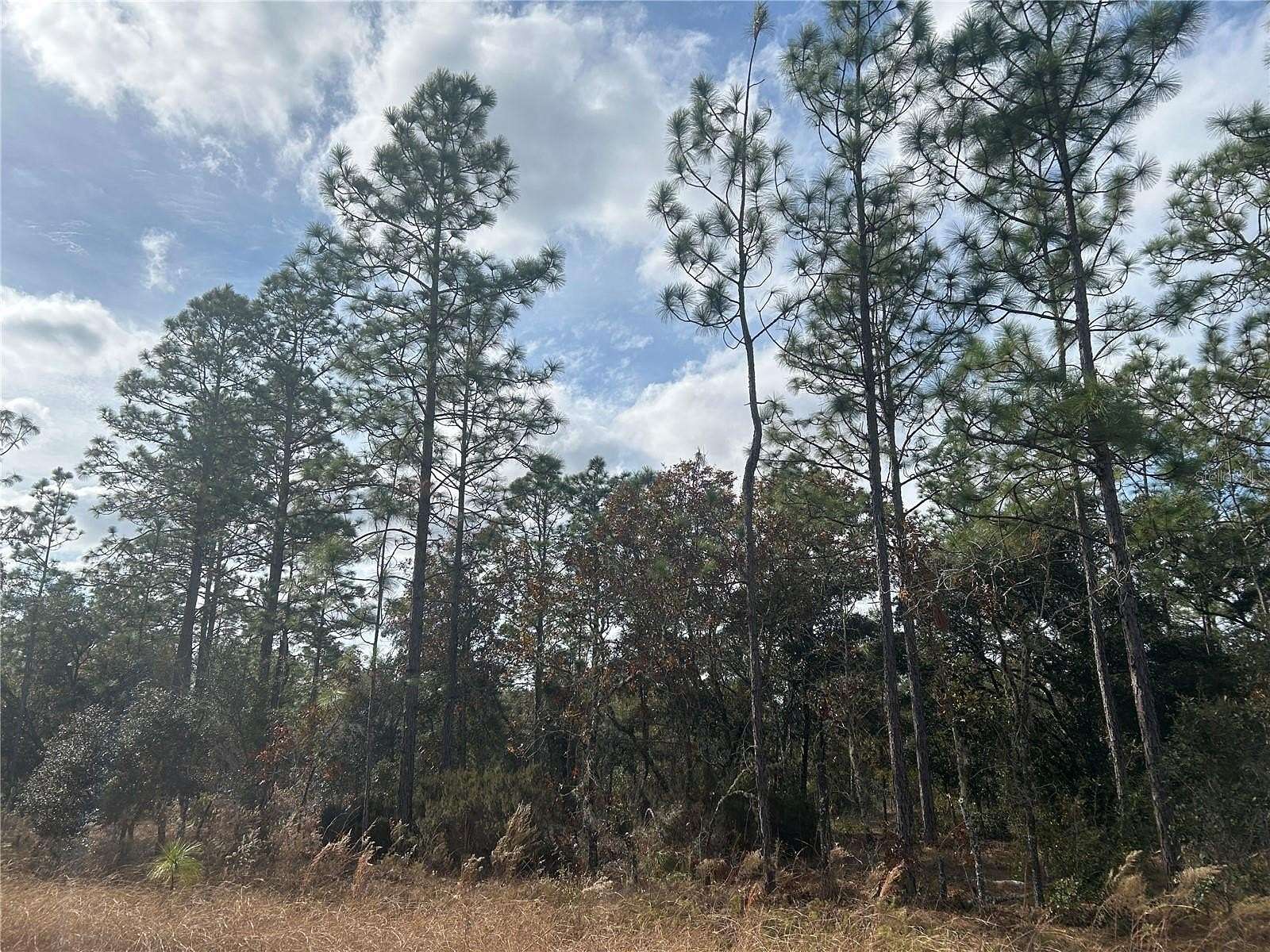 0.23 Acres of Land for Sale in Williston, Florida