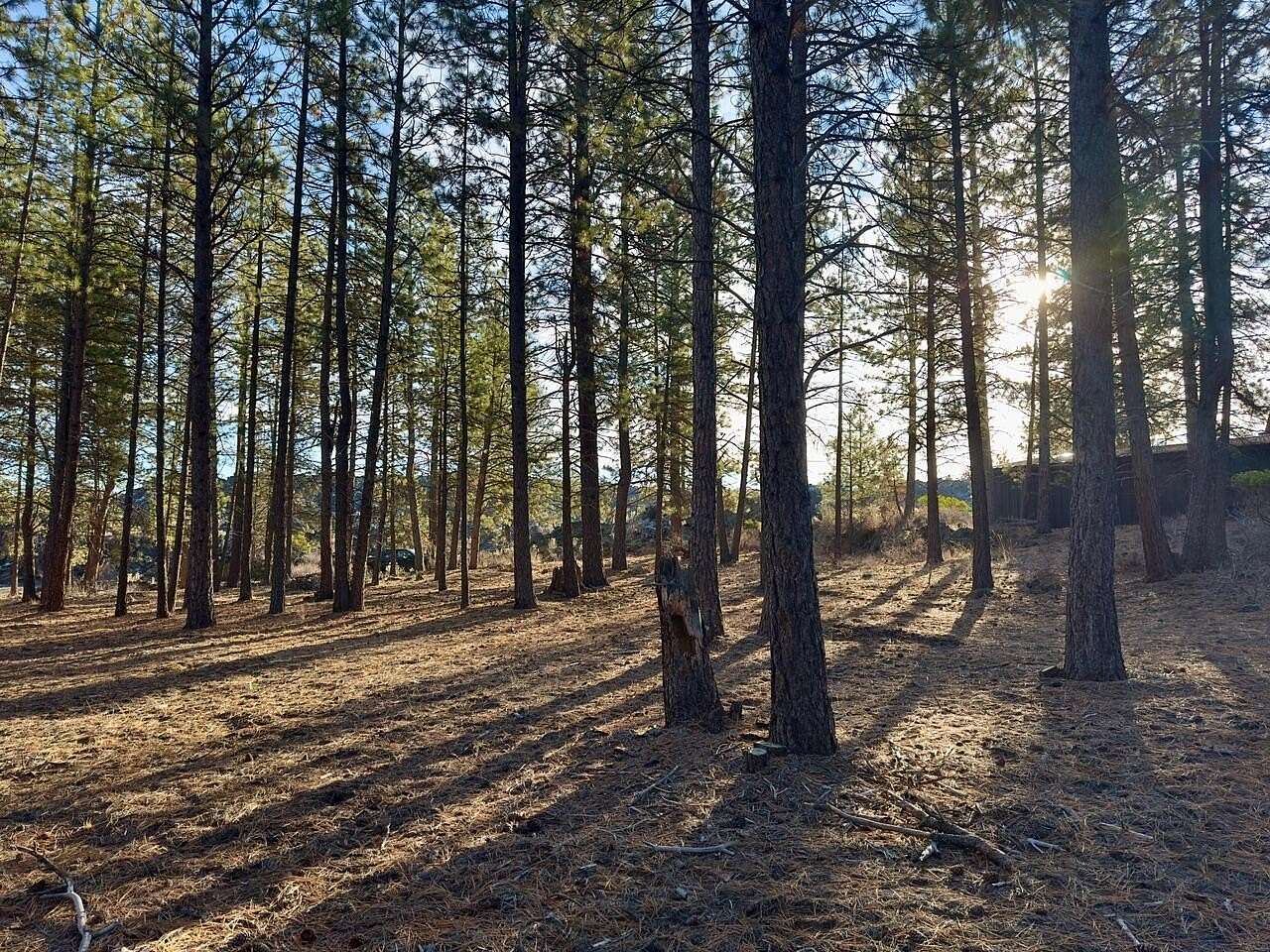 1.25 Acres of Residential Land for Sale in Bend, Oregon