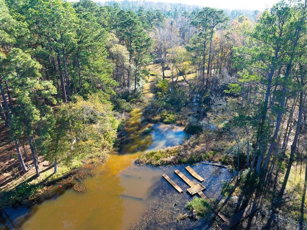 85.86 Acres of Recreational Land for Sale in Palestine, Texas