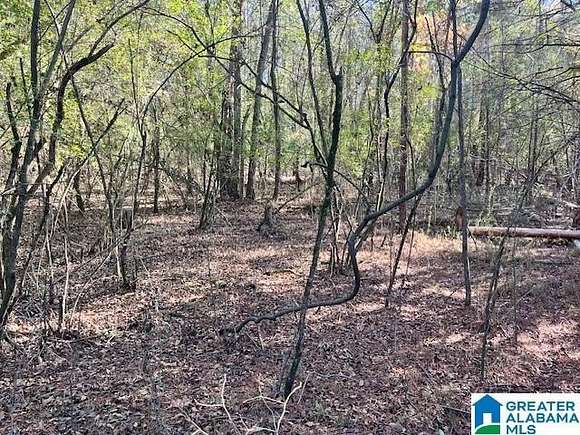 1.56 Acres of Land for Sale in Pell City, Alabama