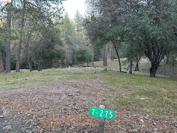 1.6 Acres of Residential Land for Sale in Groveland, California