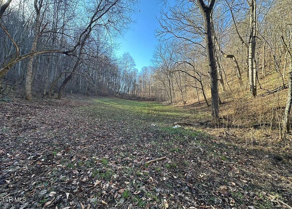 92 Acres of Recreational Land for Sale in Fort Blackmore, Virginia