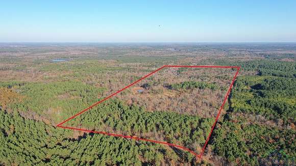 84.27 Acres of Land for Sale in Lone Star, Texas