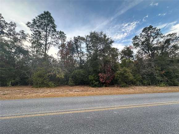 5 Acres of Residential Land for Sale in Branford, Florida