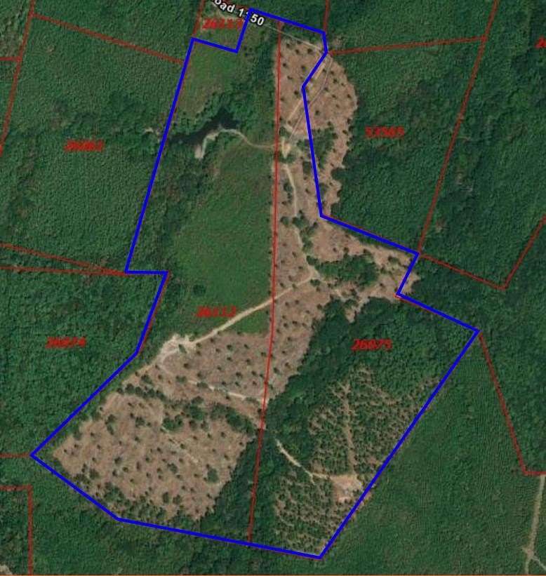 95.8 Acres of Recreational & Residential Land for Sale in Center, Texas