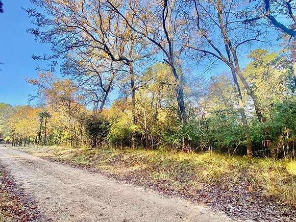 0.38 Acres of Residential Land for Sale in Crockett, Texas