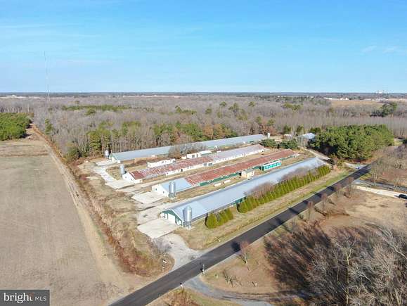 7.82 Acres of Land with Home for Sale in Frankford, Delaware