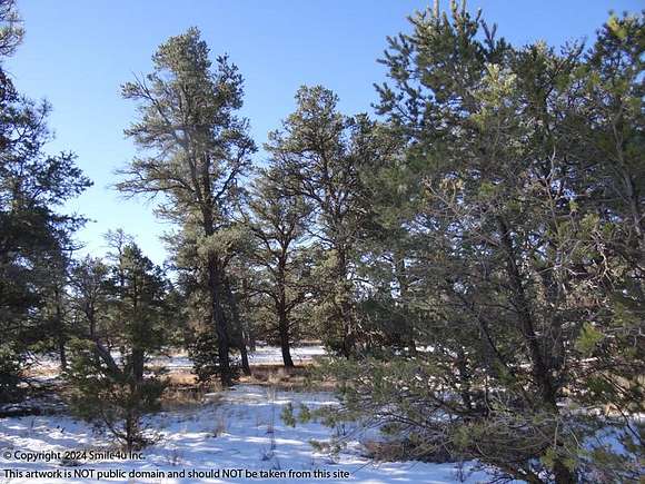 1.4 Acres of Residential Land for Sale in Pinehill, New Mexico