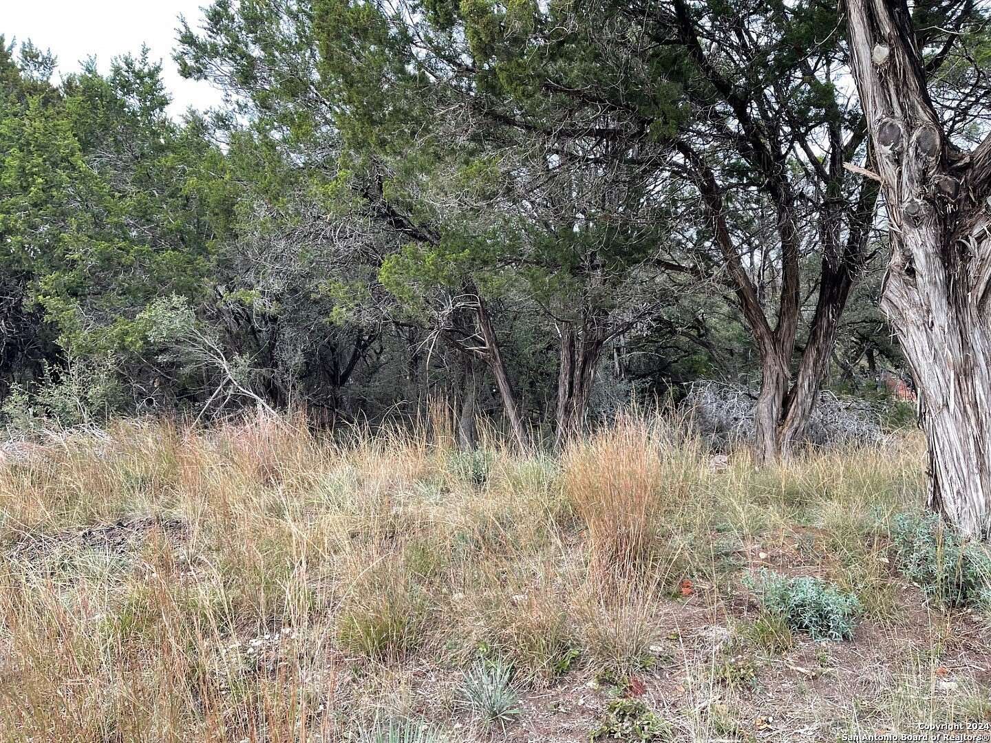 0.12 Acres of Residential Land for Sale in Bandera, Texas