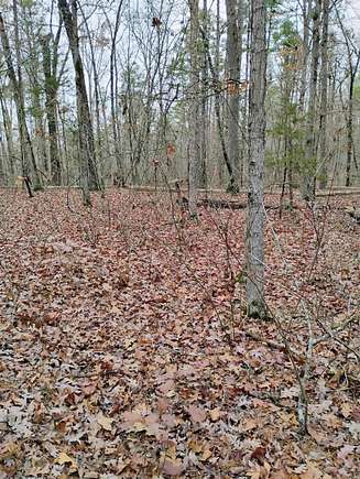 0.28 Acres of Residential Land for Sale in Fairfield Bay, Arkansas