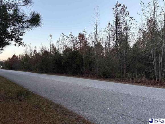 3.34 Acres of Land for Sale in Dillon, South Carolina