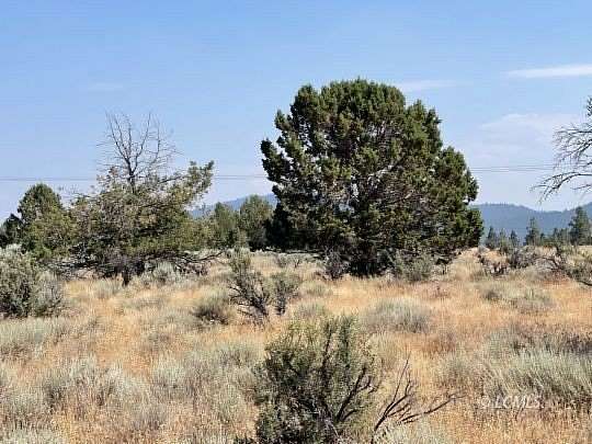 1.67 Acres of Residential Land for Sale in Chiloquin, Oregon