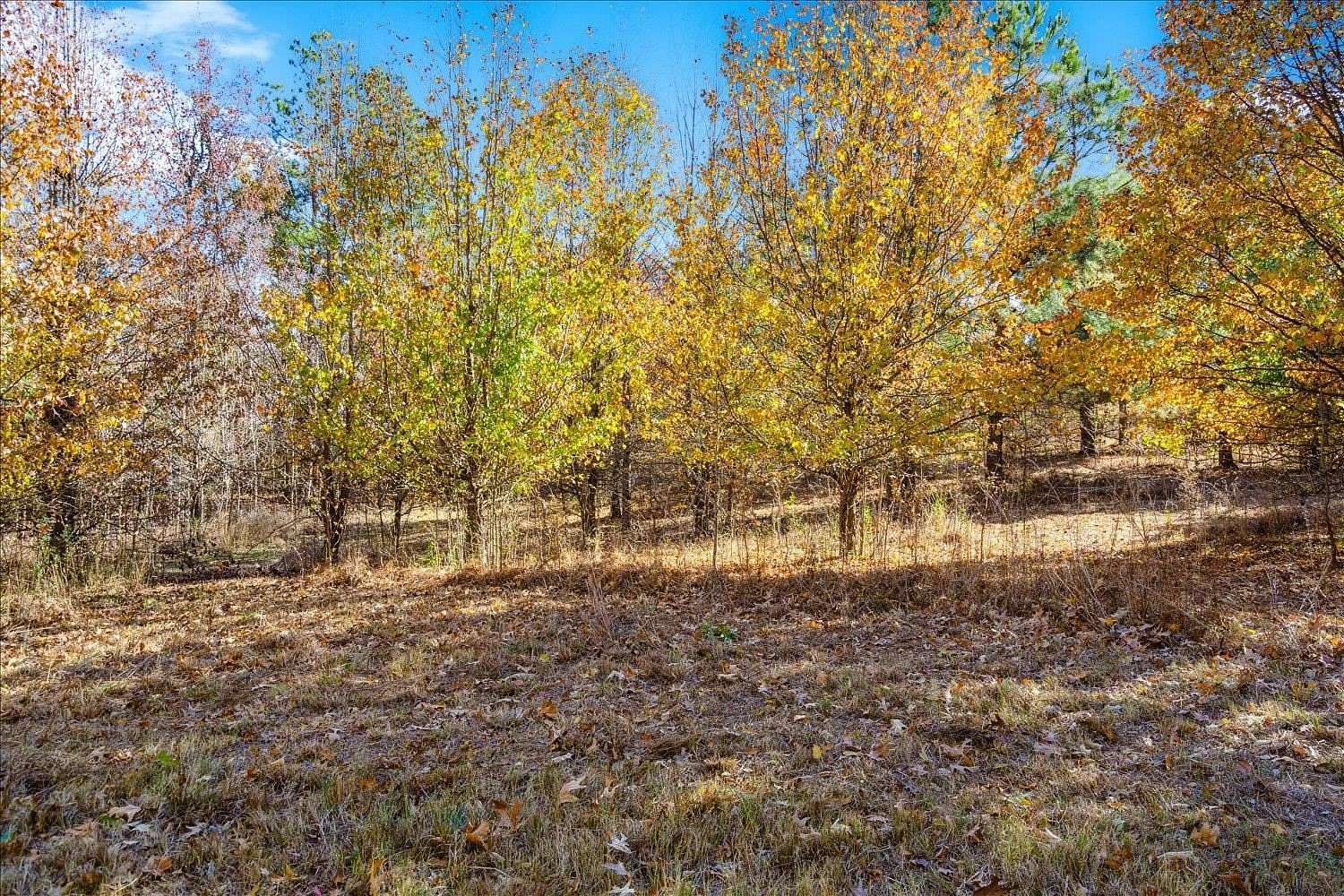 43.79 Acres of Land for Sale in Eads, Tennessee