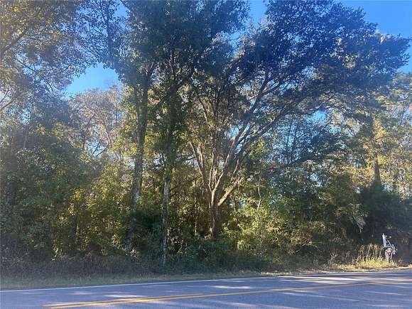 10 Acres of Land for Sale in Morriston, Florida