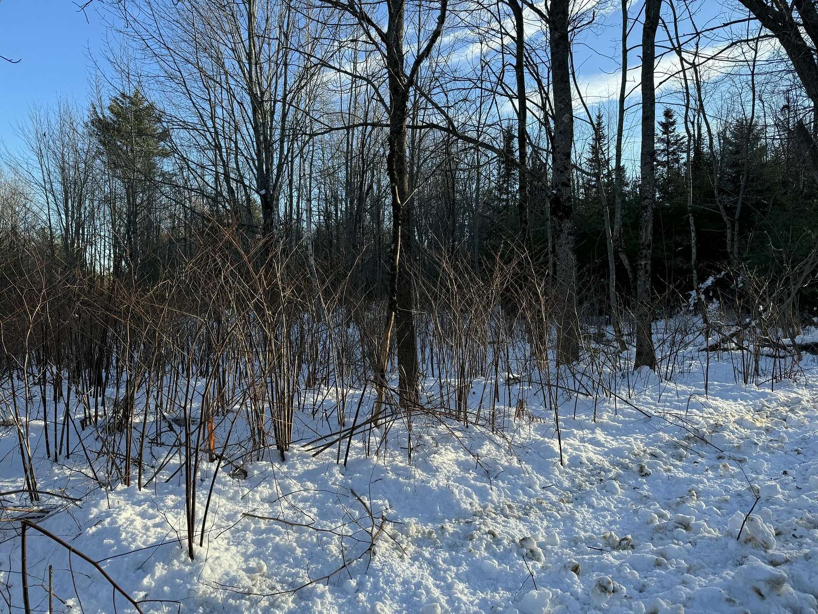 2 Acres of Residential Land for Sale in Otisfield Town, Maine