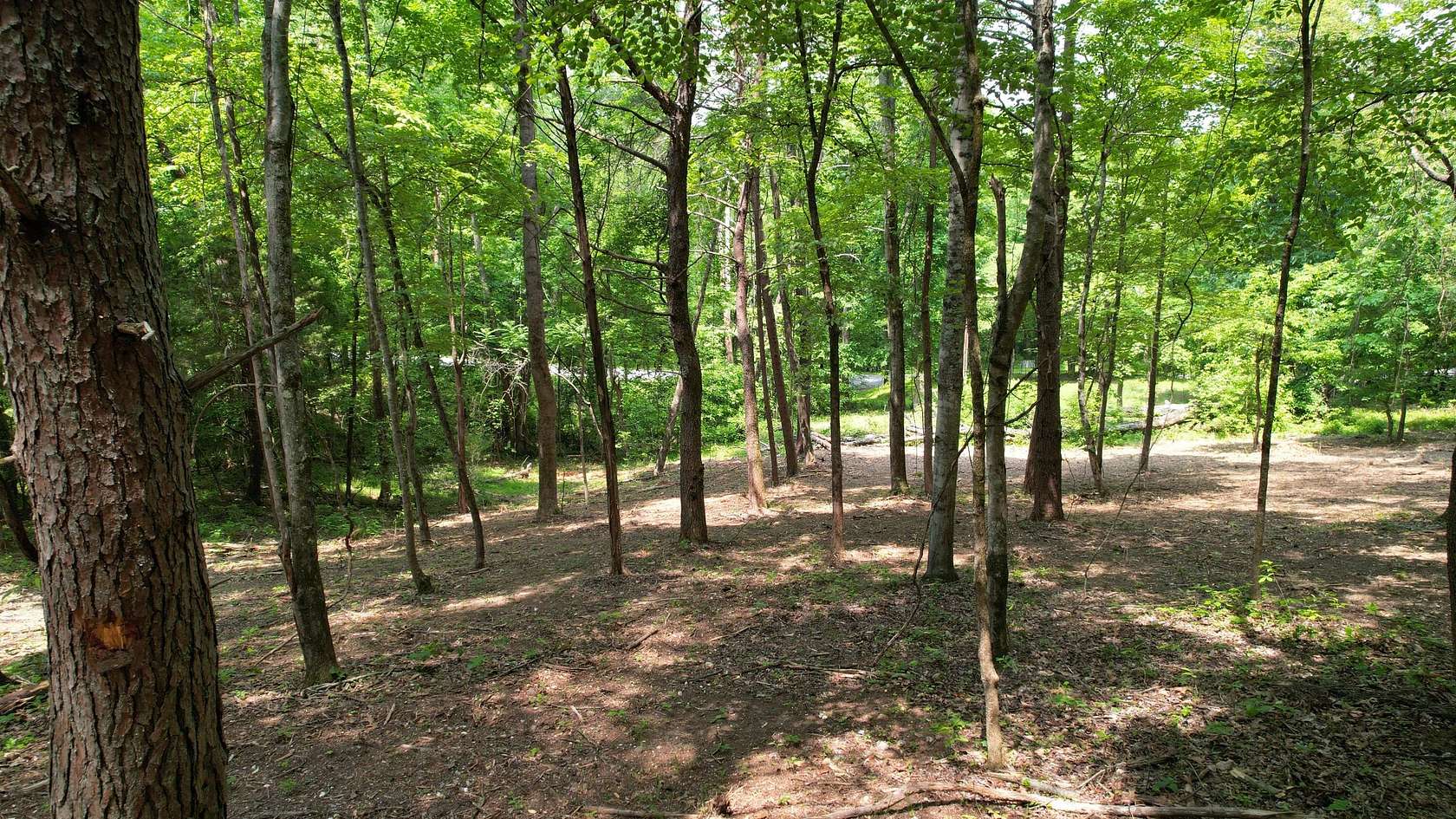 2.4 Acres of Residential Land for Sale in Spring City, Tennessee