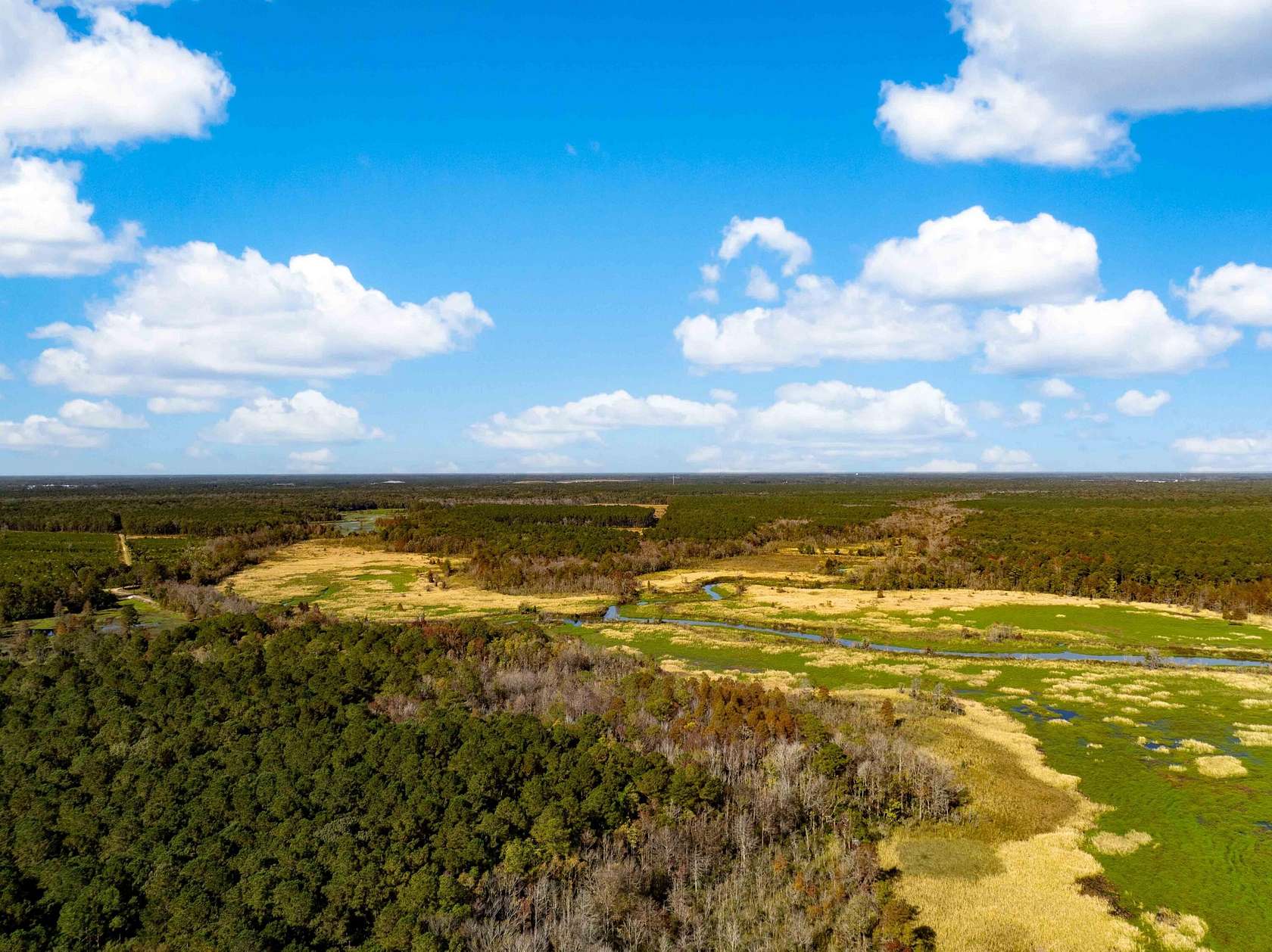 85.16 Acres of Recreational Land & Farm for Sale in Moncks Corner, South Carolina