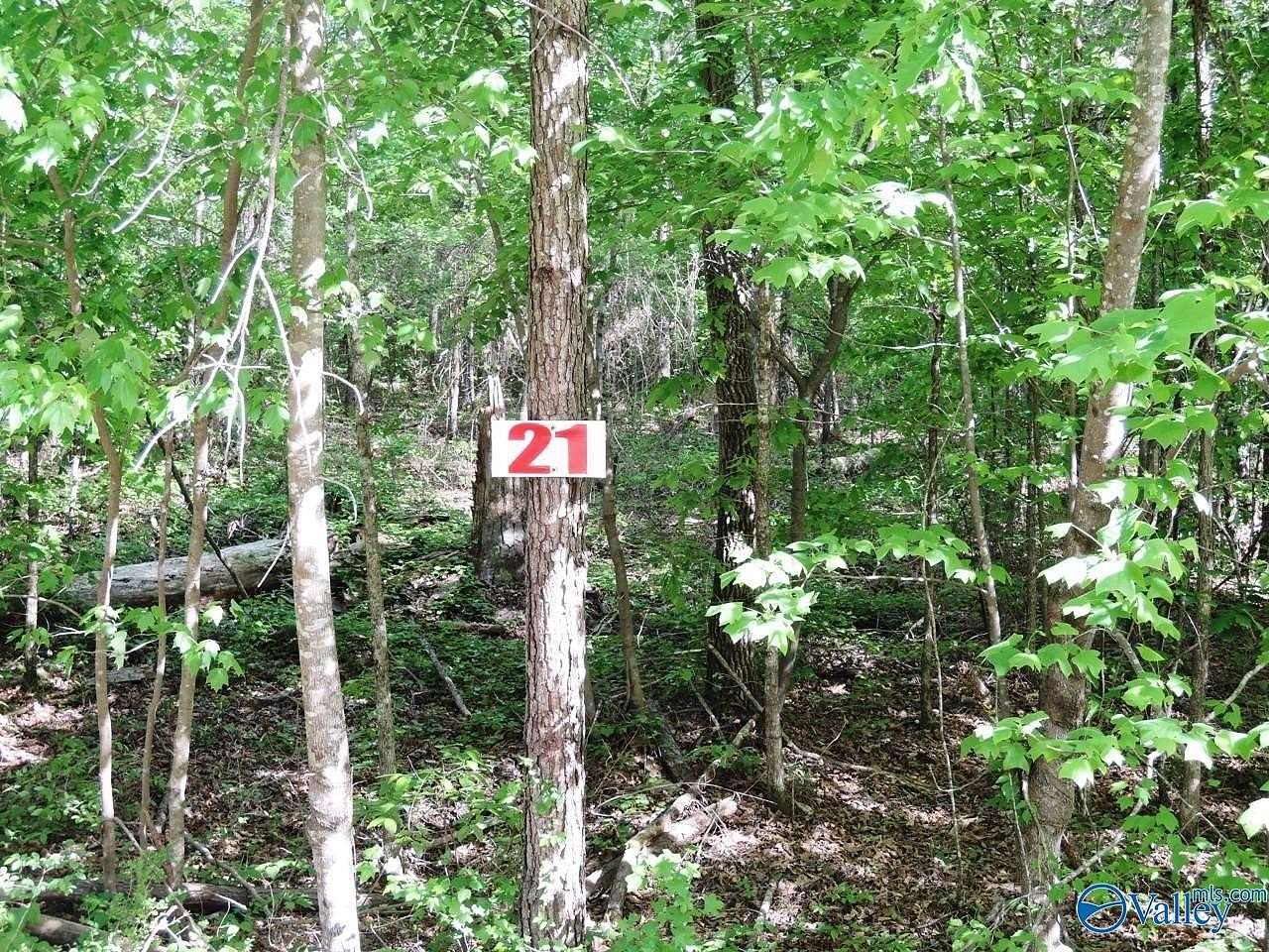 0.46 Acres of Land for Sale in Jasper, Alabama