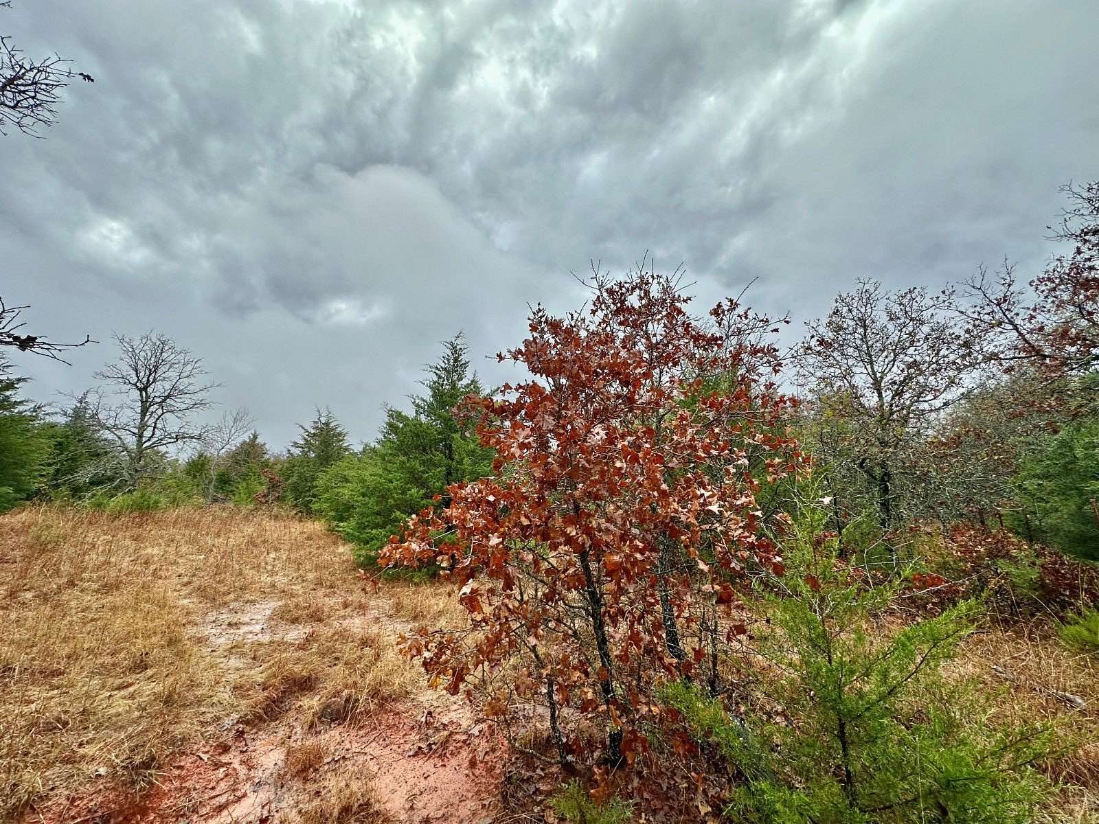 5 Acres of Residential Land for Sale in Noble, Oklahoma