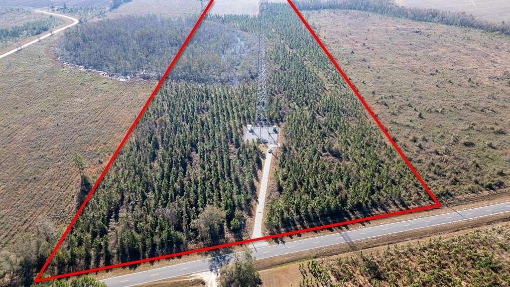 55.77 Acres of Agricultural Land for Sale in Baxley, Georgia