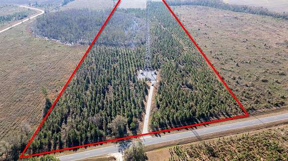 55.77 Acres of Agricultural Land for Sale in Baxley, Georgia